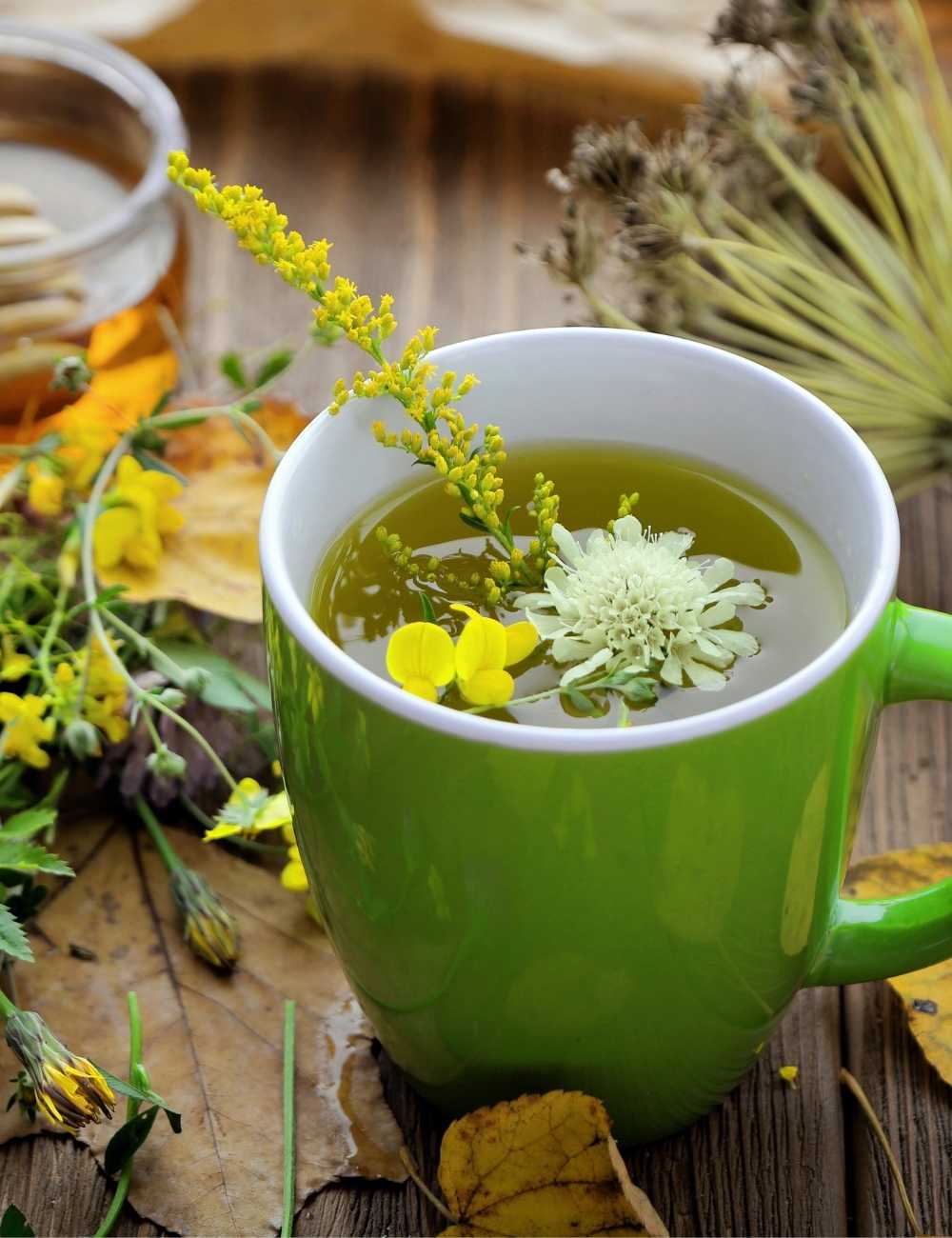 Sunshine House of Wellness naturopath and natural skincare clinic with green mug of medicinal herbal tea and flowers.
