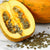 Australian Pumpkin Seeds (Curcubita pepo var. styriaca)
