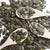 Australian Pumpkin Seeds (Curcubita pepo var. styriaca)