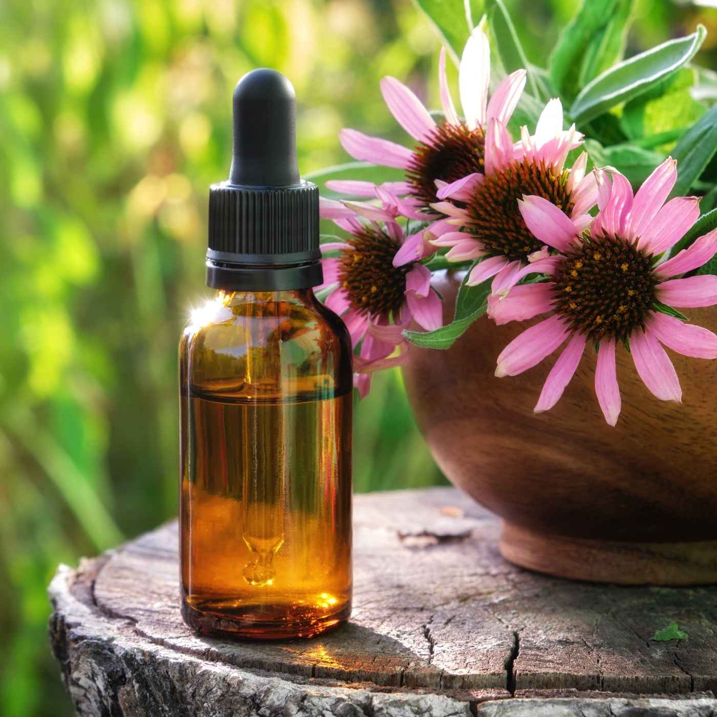 Herbal medicine and naturopathic medicine practitioner on the Sunshine Coast Hinterland