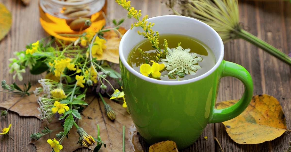 Sunshine House of Wellness naturopath and natural skincare clinic with green mug of medicinal herbal tea and flowers.